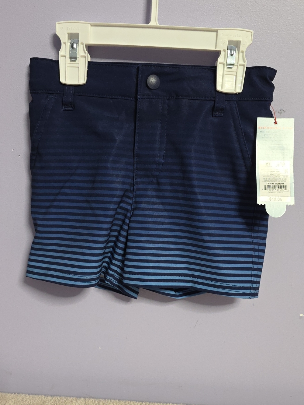 Cat & Jack Toddler Navy and Light Blue‎ Gradient Stripe Swim Trunks